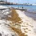 Especialistas alertan por acelerada erosión en playas de Quintana Roo; urgen plan integral para salvar arenales