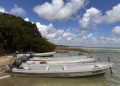 Organizaciones civiles en alerta: DMAS advierte que el megaproyecto «Perfect Day» en Mahahual podría reactivarse