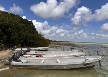 Organizaciones civiles en alerta: DMAS advierte que el megaproyecto «Perfect Day» en Mahahual podría reactivarse