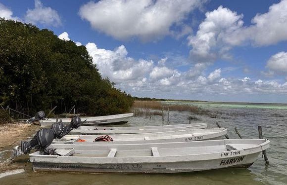 Organizaciones civiles en alerta: DMAS advierte que el megaproyecto «Perfect Day» en Mahahual podría reactivarse