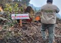 Profepa y RAN congelarán derechos agrarios para frenar la deforestación clandestina en Quintana Roo