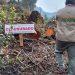 Profepa y RAN congelarán derechos agrarios para frenar la deforestación clandestina en Quintana Roo