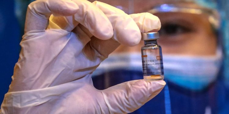 Alerta sanitaria en Cancún: Detectan proliferación de veterinarios falsos y venta de vacunas apócrifas en redes sociales