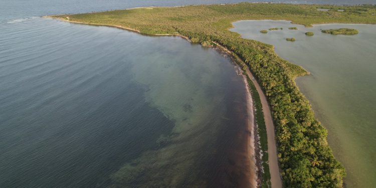 Buscan autorización ambiental para proyecto residencial de 20 MDP dentro de Sian Ka’an, Tulum