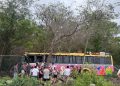 Maniobra de emergencia evita tragedia: Autobús de Xcaret choca contra árboles para eludir un neumático en la carretera