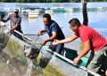 Programa ‘Pescando Vida’ consolida la venta de 1.5 toneladas de pescado cada fin de semana en Villahermosa