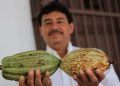 Procesadora de cacao de Comalcalco estará lista en 2027; abastecerá al programa Chocolate del Bienestar