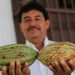 Procesadora de cacao de Comalcalco estará lista en 2027; abastecerá al programa Chocolate del Bienestar
