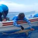 Ciencia submarina para la conservación: Inician censo masivo de megafauna marina en Quintana Roo