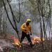 Balance favorable en Quintana Roo: Incendios forestales caen un 90% en comparación con 2025