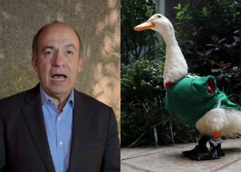 Felipe Calderón pide que la FIFA otorgue regalías a la familia del pato Merlín por el Mundial 2026