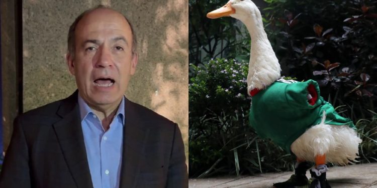 Felipe Calderón pide que la FIFA otorgue regalías a la familia del pato Merlín por el Mundial 2026
