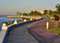 Inicia la campaña “Nuestra Selva Urbana” con la plantación de 200 árboles en el malecón de Campeche