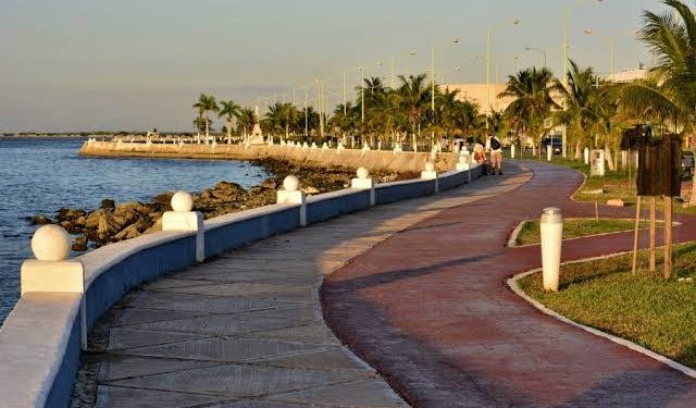 Inicia la campaña “Nuestra Selva Urbana” con la plantación de 200 árboles en el malecón de Campeche