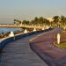 Inicia la campaña “Nuestra Selva Urbana” con la plantación de 200 árboles en el malecón de Campeche