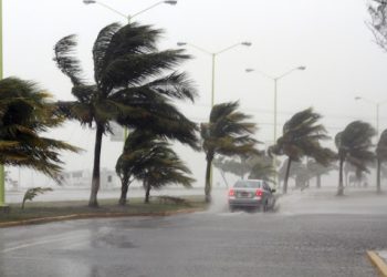 98% de la población de Campeche en zonas de riesgo medio a muy alto ante ciclones; implementan alerta celular
