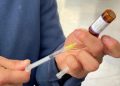 Frenan contagios con vacunación: Tabasco supera los 100 casos de sarampión tras reciente repunte