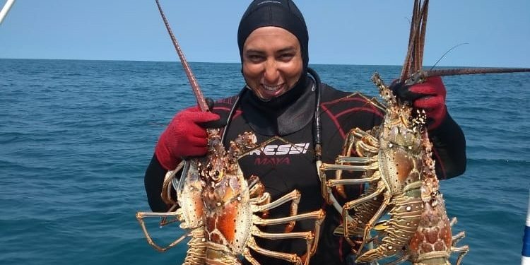 Inicia temporada de captura de langosta en Yucatán con llamado a la pesca responsable
