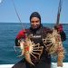 Inicia temporada de captura de langosta en Yucatán con llamado a la pesca responsable