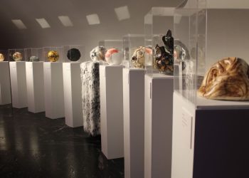 Sedema invita a explorar la ciencia y la biodiversidad en el Museo de Historia Natural y Cultura Ambiental