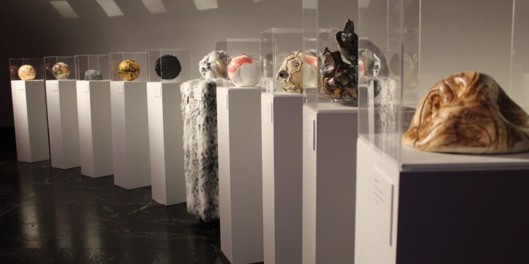 Sedema invita a explorar la ciencia y la biodiversidad en el Museo de Historia Natural y Cultura Ambiental