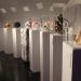 Sedema invita a explorar la ciencia y la biodiversidad en el Museo de Historia Natural y Cultura Ambiental