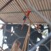 Asegura PROFEPA 19 guacamayas y loros en Cunduacán; se encontraban en cautiverio ilegal