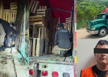Aseguran más de una tonelada de marihuana en Huimanguillo; detienen a un presunto implicado