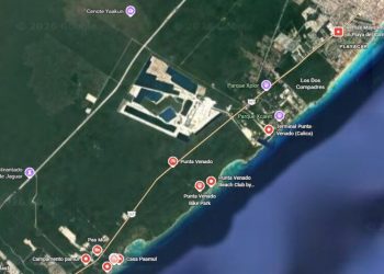 Alza la voz el movimiento ambientalista: Buscan frenar megaproyecto hotelero en el corredor de Punta Venado