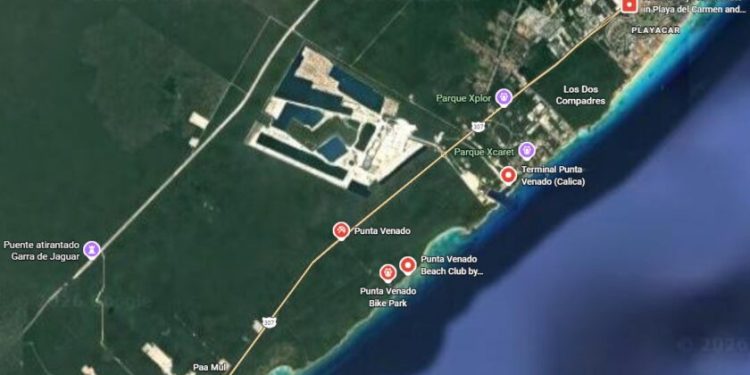 Alza la voz el movimiento ambientalista: Buscan frenar megaproyecto hotelero en el corredor de Punta Venado