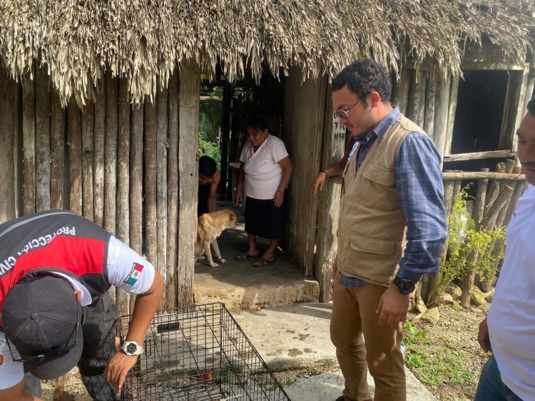 Nivardo Mena entre crimen y saqueo, aliado de “La Mafia Verde” acaba con futuro de los habitantes de Lázaro Cárdenas