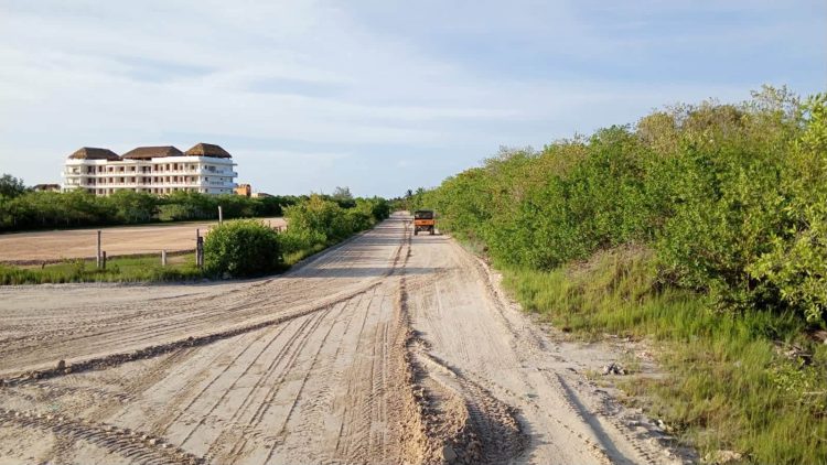 Nivardo Mena entre crimen y saqueo, aliado de “La Mafia Verde” acaba con futuro de los habitantes de Lázaro Cárdenas