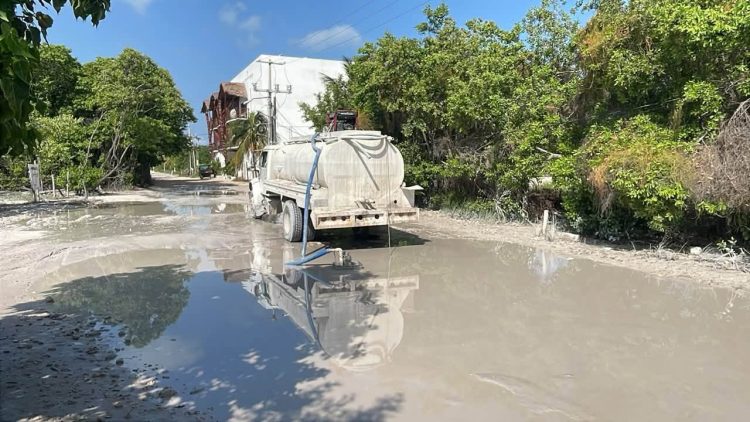 Nivardo Mena entre crimen y saqueo, aliado de “La Mafia Verde” acaba con futuro de los habitantes de Lázaro Cárdenas