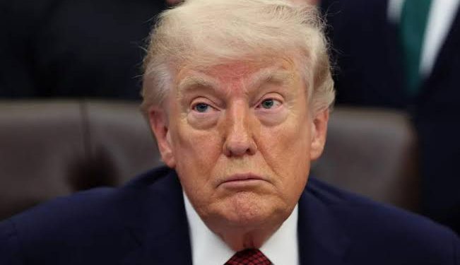Trump se autoproclama «guardián» del Estrecho de Ormuz y exige pago por protección