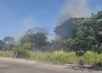 Controlan fuerte incendio de pastizales cerca de Pomoca en Nacajuca