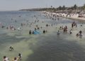 ¡Campeche está listo para el chapuzón! Las 17 playas del estado pasan con éxito el monitoreo de Cofepris