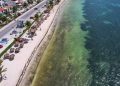 Proyectan inversión de mil 298 millones de pesos para el Centro Integral de Saneamiento y Economía Circular en Cancún para el manejo de sargazo y aguas residuales