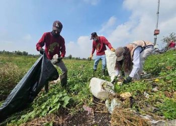 SEDEMA y Alcaldía Xochimilco realizan Tequio por la Restauración en la Ciénega Chica