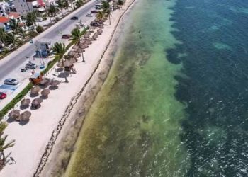 Proyectan inversión de mil 298 millones de pesos para el Centro Integral de Saneamiento y Economía Circular en Cancún para el manejo de sargazo y aguas residuales