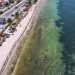 Proyectan inversión de mil 298 millones de pesos para el Centro Integral de Saneamiento y Economía Circular en Cancún para el manejo de sargazo y aguas residuales