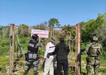Profepa clausura 17 polígonos en la Reserva de la Biosfera Ría Celestún