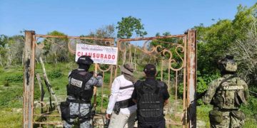 Profepa clausura 17 polígonos en la Reserva de la Biosfera Ría Celestún