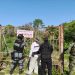 Profepa clausura 17 polígonos en la Reserva de la Biosfera Ría Celestún