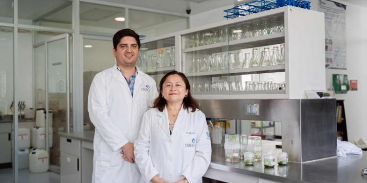 Especialistas mundiales en biotecnología se reunirán en Yucatán