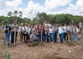 Reforesta Renacimiento Maya 292 hectáreas con más de 64 mil plantas