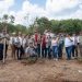 Reforesta Renacimiento Maya 292 hectáreas con más de 64 mil plantas