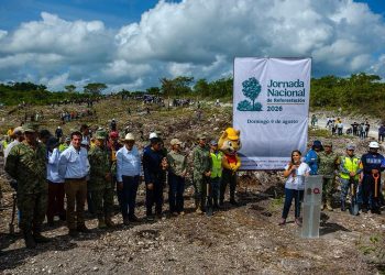 Quintana Roo se suma a la Jornada Nacional de Reforestación 2026 con acciones en el sur del estado y Cancún