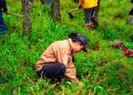 Anuncia Clara Brugada Programa de Reforestación Urbana para Plantar 500 mil árboles y reducir temperaturas en zonas con déficit de arbolado