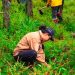 Anuncia Clara Brugada Programa de Reforestación Urbana para Plantar 500 mil árboles y reducir temperaturas en zonas con déficit de arbolado