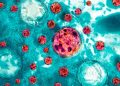Cofepris activa vigilancia epidemiológica en México por 33 casos de Cyclospora